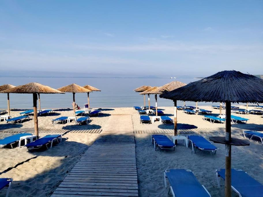 Camping Drepanos Igoumenitsa Bagian luar foto